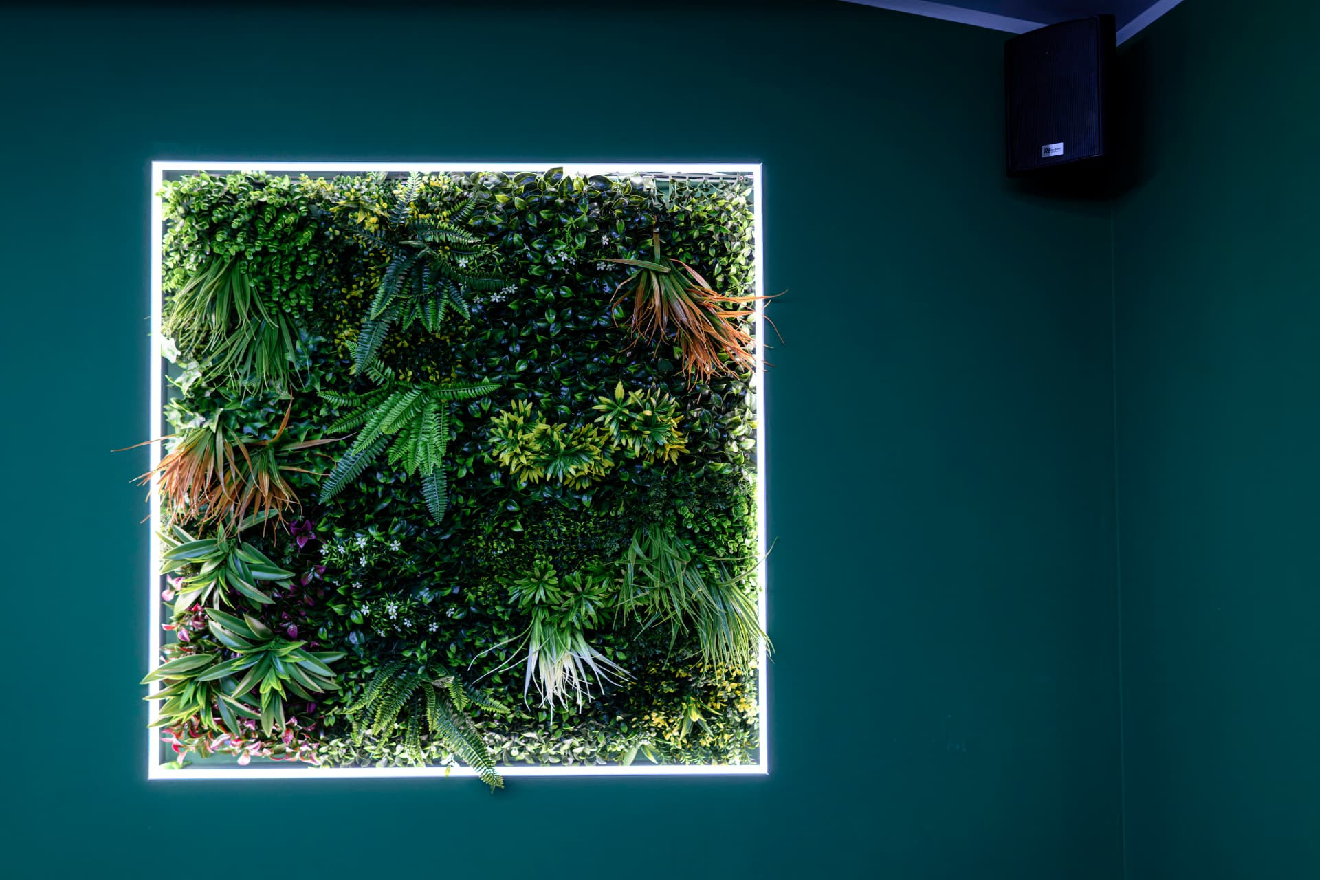 Perete verde vegetal iluminat LED în salonul Joker Fade Barbershop